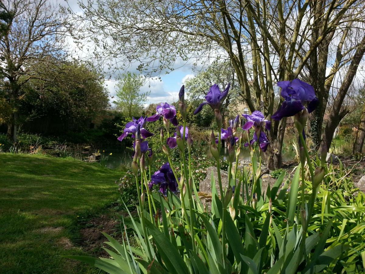 Bed and Breakfast Upper Wood End Farm Marston Moreteyne Экстерьер фото