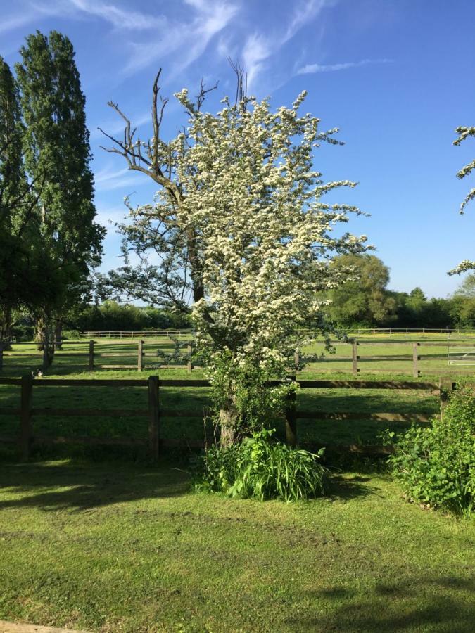 Bed and Breakfast Upper Wood End Farm Marston Moreteyne Экстерьер фото